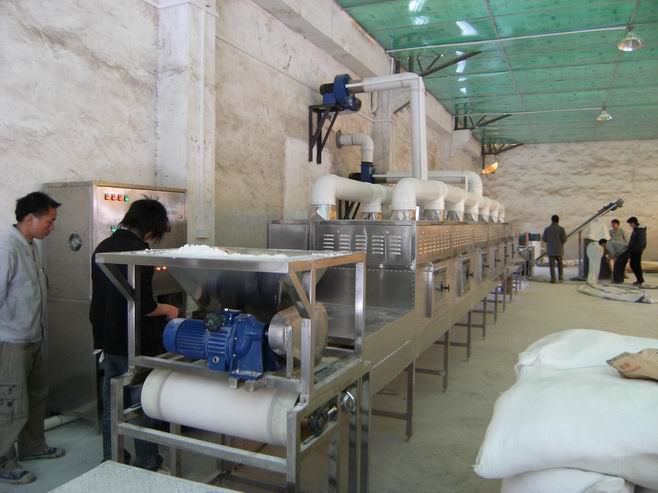 藕粉微波殺菌機(jī)